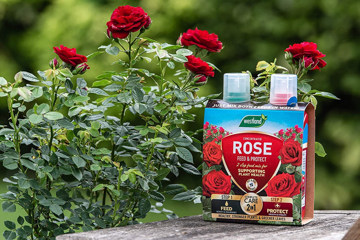Rose Plant Feed & Protect Bundle - 3kg Rose Plant Food Pellets & Rose 2 in 1 Feed and Protect Concentrated 2x500ml. Garden Fertiliser for Outdoor Plants with Topline Card.