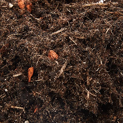 Westland Houseplant Potting Compost