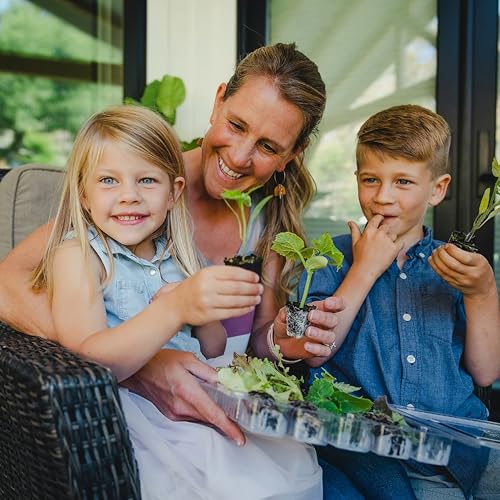 Herbs Grow Your Own Kit Set of 10 Seeds