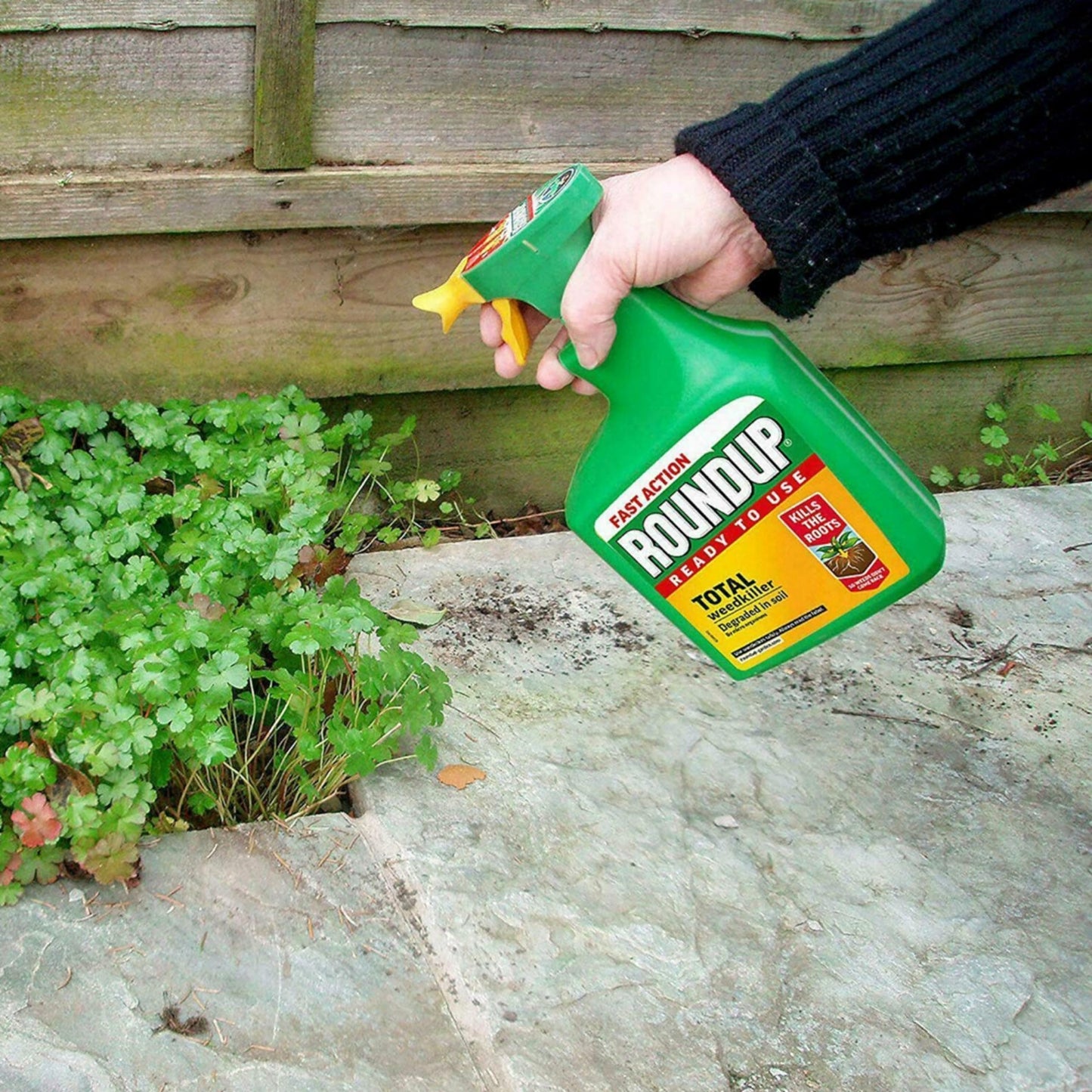 Garden Fast Action Weed Killer - Pack of 2 x 1.2L Ready To Use Total Weed Burner Weedkiller Garden Sprayer Bundle with Topline Card. Weed Killer Extra Strong for Driveways, Paths, Patios