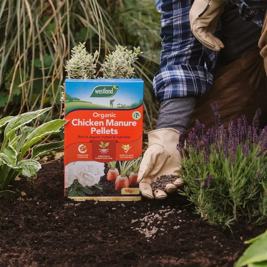 Garden Plant Feed Fertiliser Bundle Organic Chicken Manure Pellets 5kg + Gro-Sure All Purpose Slow Release Plant Food 2kg