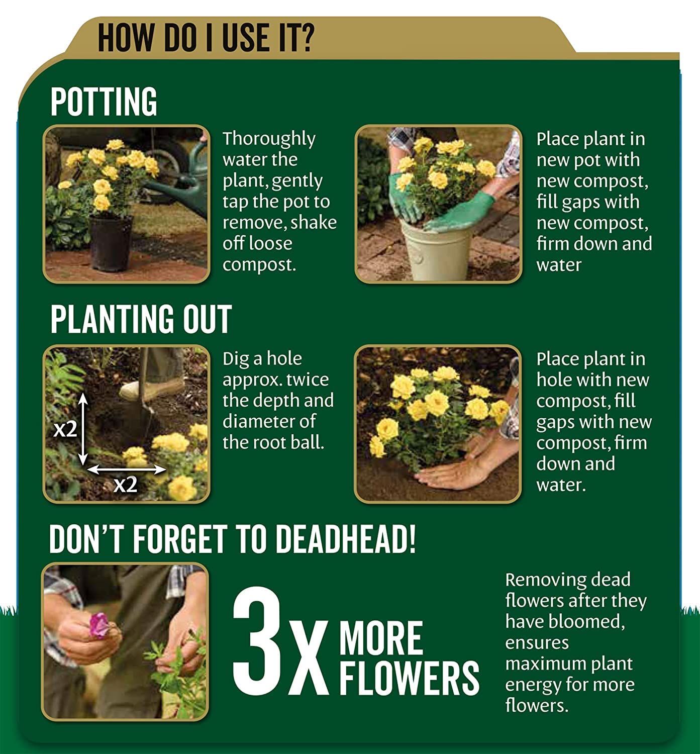 Westland Peat Free Garden Compost - John Innes No3 Mature Plant Potting Seedling Compost 4 x 10L Bags with Topline Card for Outdoor & Indoor House Plants.