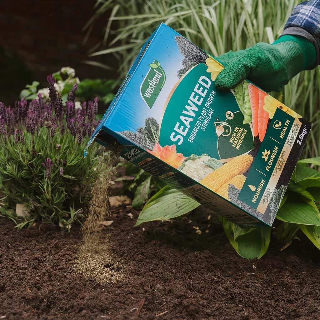 Garden Plant Feed Fertiliser Bundle - 2.5kg Organic Seaweed Stimulant & 1.5kg Epsom Salt, Garden Fertilisers for Growing Healthy and Stronger Garden Plants, Vegetables with Topline Card.