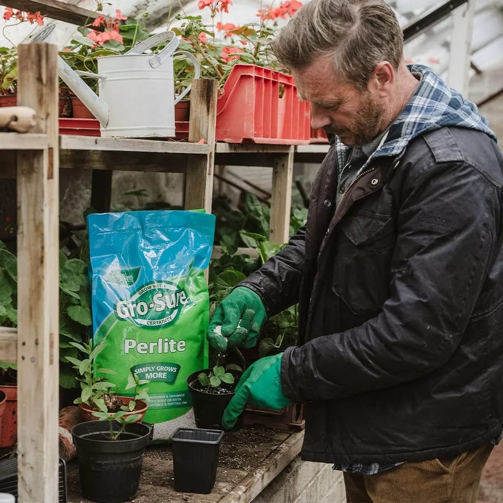 Garden Horticultural Perlite Potting Mix - Pack of 2 x 10L Gro-Sure Perlite Grit for Plant Pots with Topline Card. Garden Potting Mix Granules for Outdoor Plants or Houseplants.