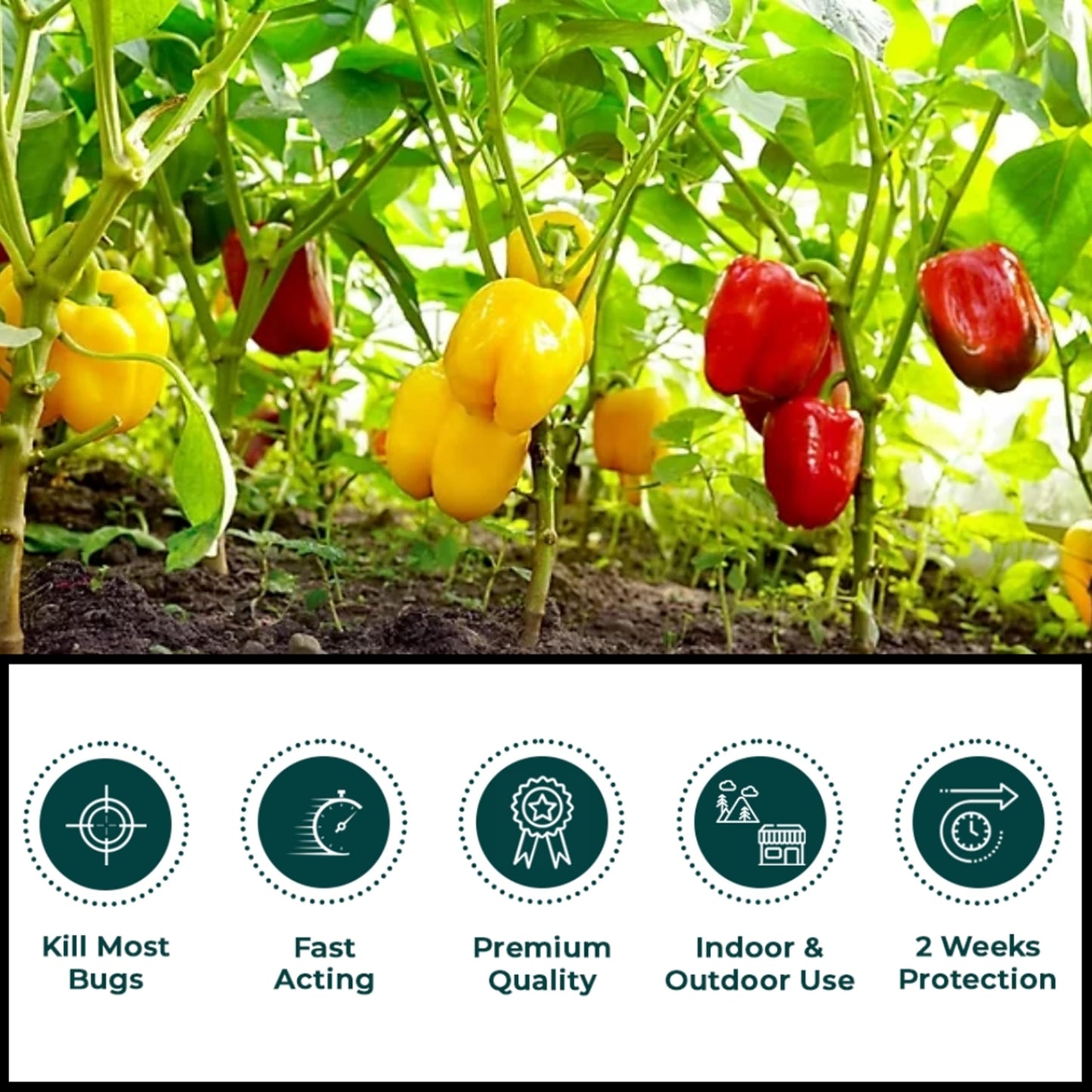 Bug Killer Spray for Plants Bundle - Fast Acting Ultimate Bug Spray 1L & Bug Clear Ultra 800m Fruit and Vegetable Plant Protection Pest Control Products with Topline Card for Indoor & Outdoor Plants
