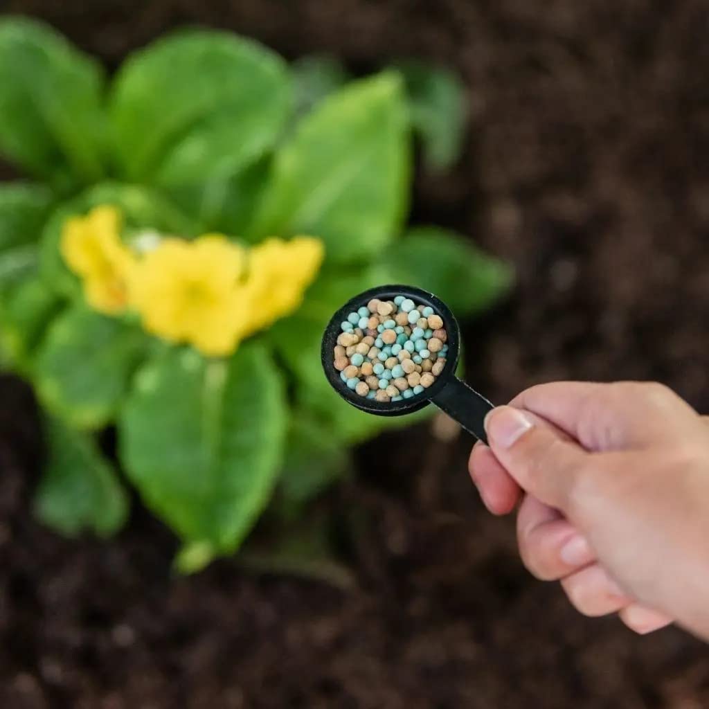 Gro-Sure Plant Food Fertilizer - 2kg All Purpose 6-Month Slow Release Plant Food Granules for Outdoor Plants with Topline Card. Garden Fertiliser for Plants, Vegetables or Houseplants.