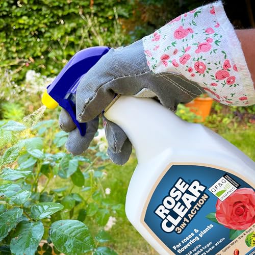 RoseClear 3 in 1 Ready to Use Plant Protection 800ml
