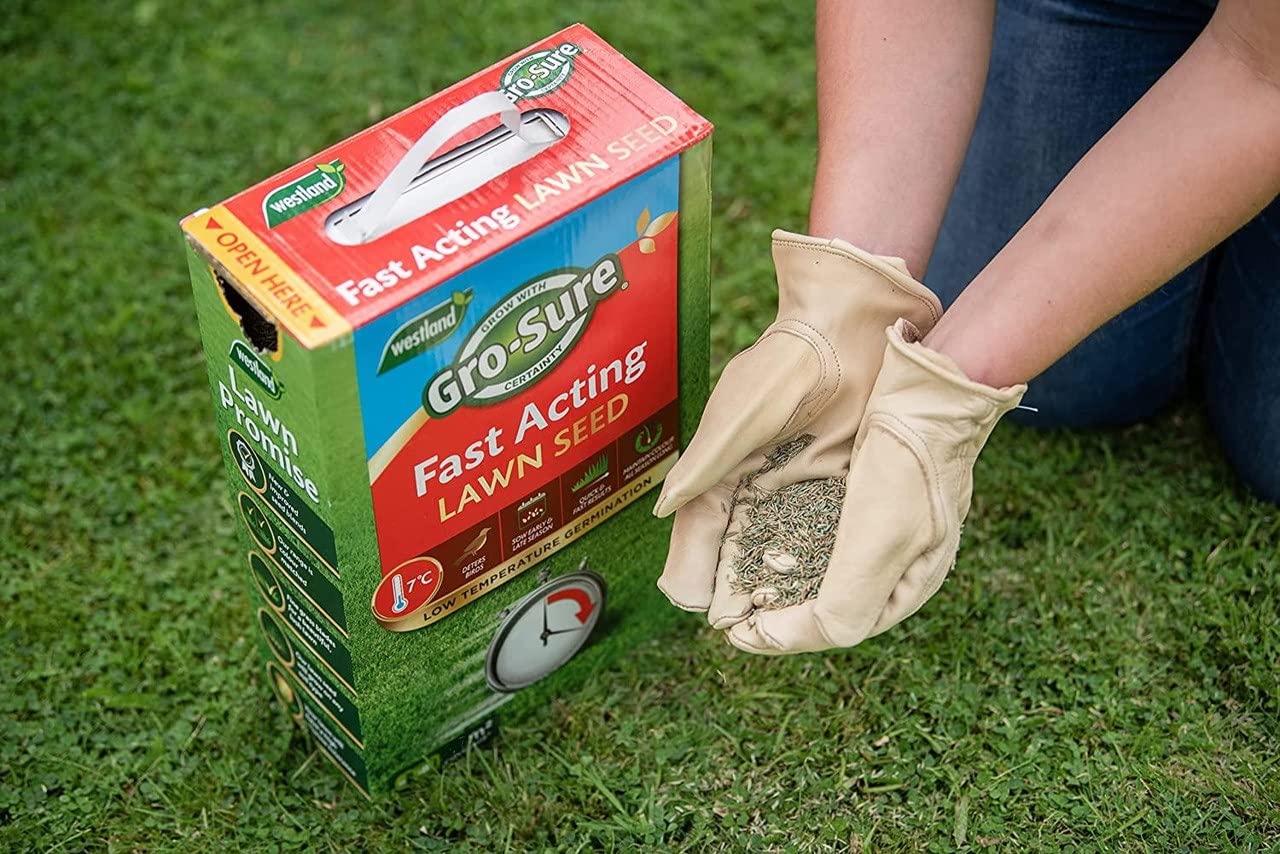 Fast Acting Lawn Seeds - Garden Horticulture 900g Fast Acting Lawn Grass Seeds 30msq. Spring Lawn Feed for Low Temperature Germination, Paths Repair with Topline Card.