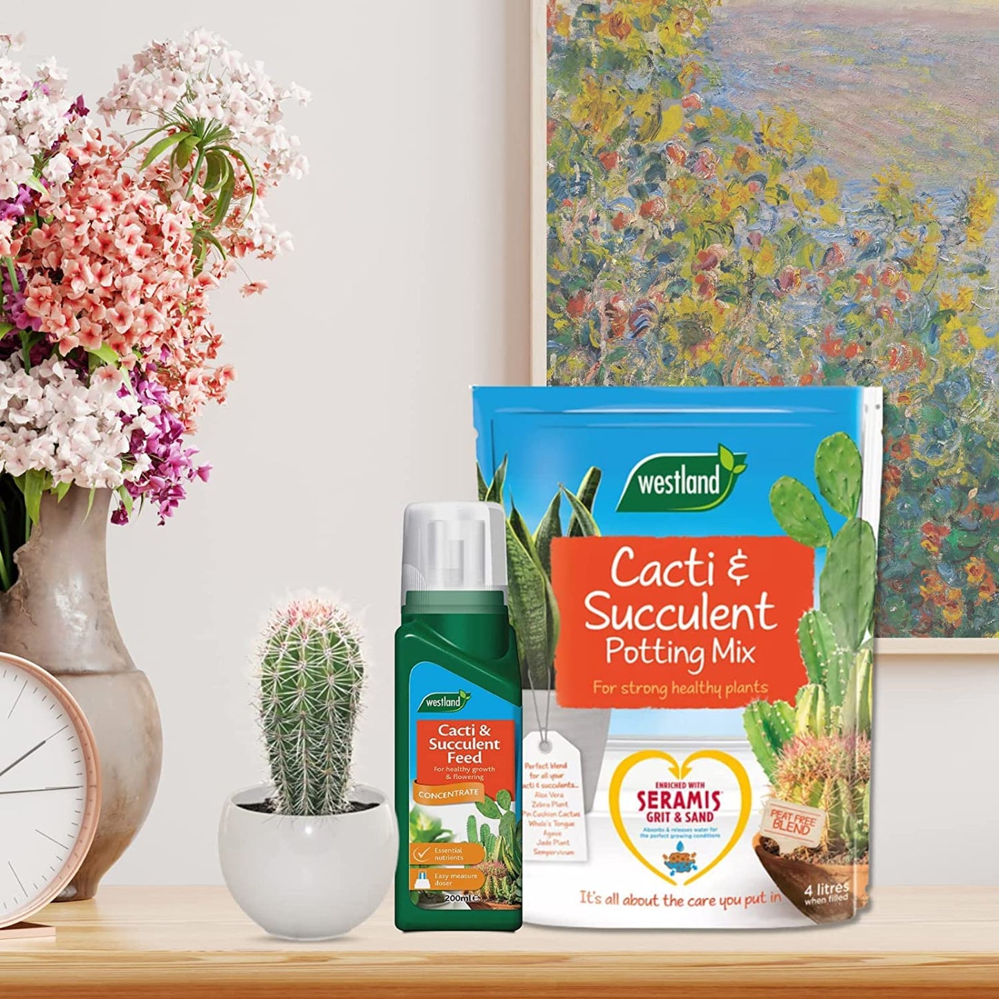 Westland Cacti & Succulent Growing Bundle - Peat Free Succulent Potting Mix Compost with Seramis 4L x 2 Bags & Cactus Feed Concentrate 200ml. House Plant Compost Food with Topline Card.