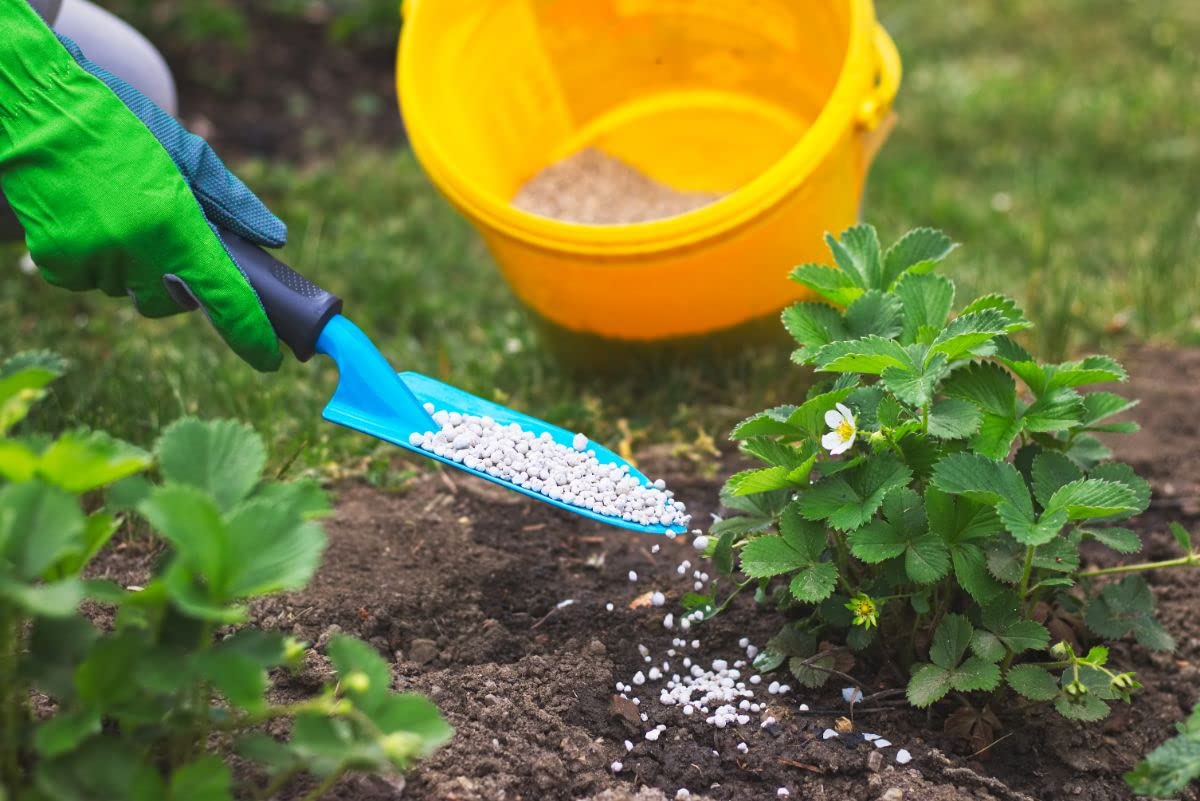 Gro-Sure Plant Food Fertilizer - 2kg All Purpose 6-Month Slow Release Plant Food Granules for Outdoor Plants with Topline Card. Garden Fertiliser for Plants, Vegetables or Houseplants.