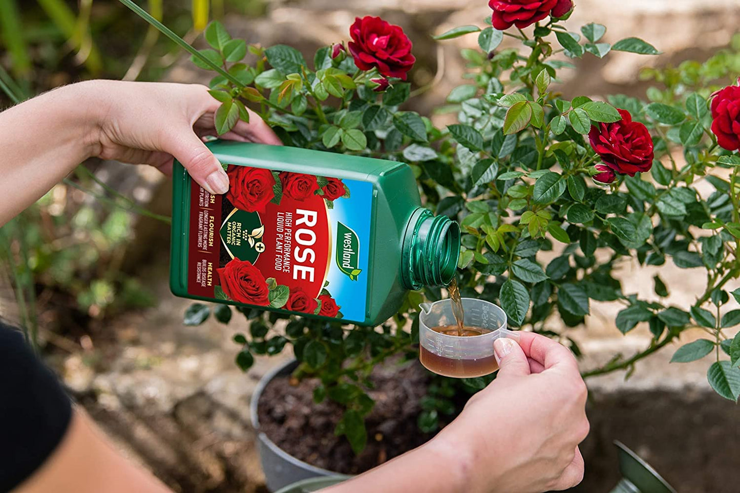 Rose Plants Feeding Bundle Horse Manure 3kg & Rose Feed Liquid 1L