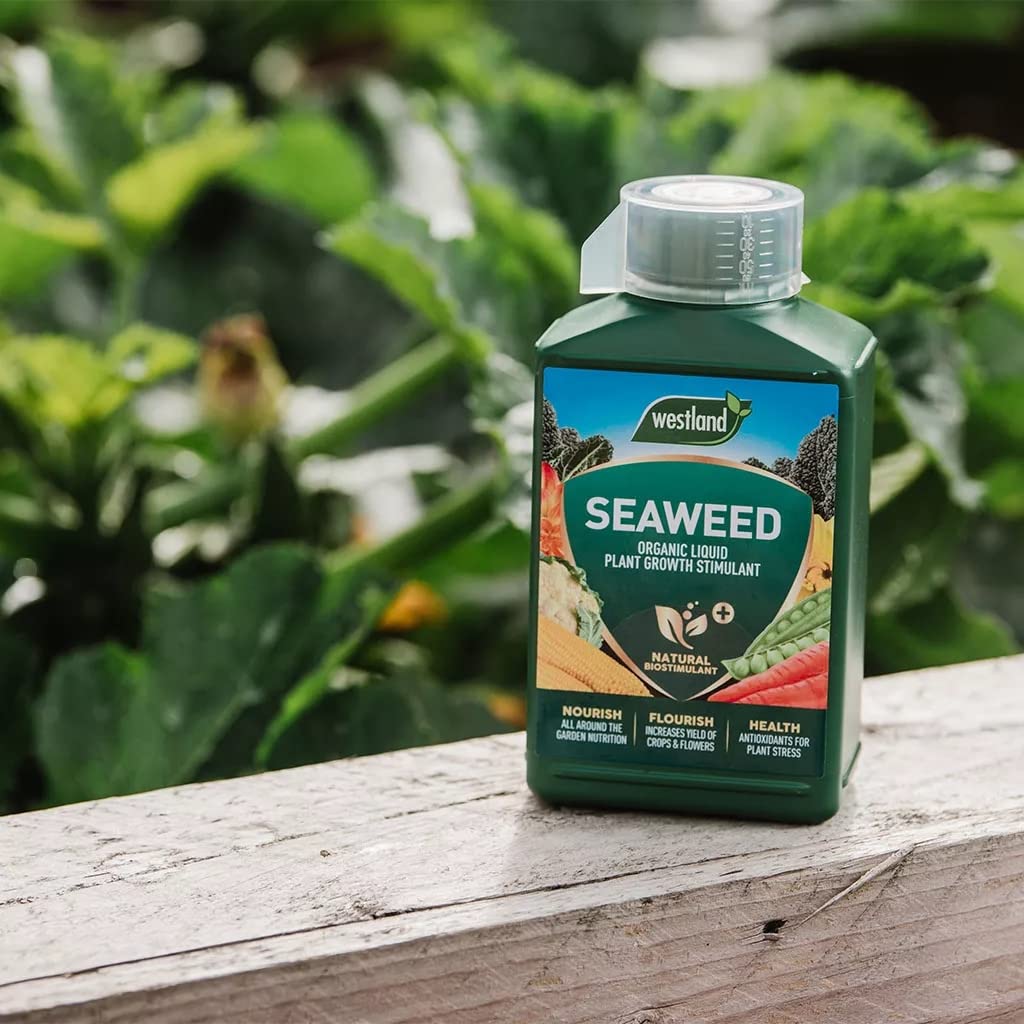 Westland Seaweed Garden Plant Food Organic Liquid 1L Pack of 2