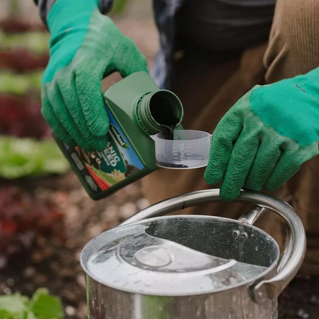 Seaweed Garden Plants Food Fertilizer - Organic Enhanced Plant Growth Stimulant 2.5kg & Liquid Plant Feed Growth Stimulant 1L Garden Fertilisers for Vegetable Plants, Fruits with Topline Card.