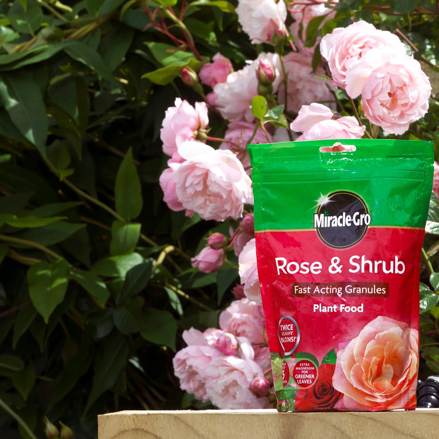 Miracle-Gro Rose & Shrub Concentrated Liquid Plant Food 800ml