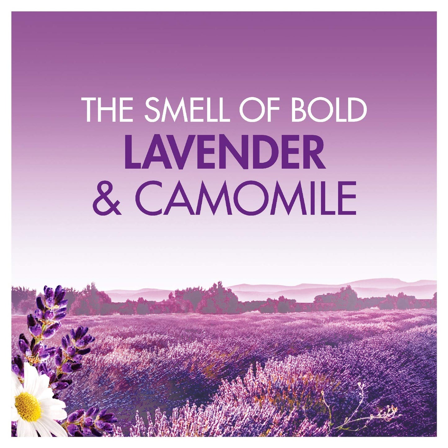 Bold LAUNDRY_DETERGENT