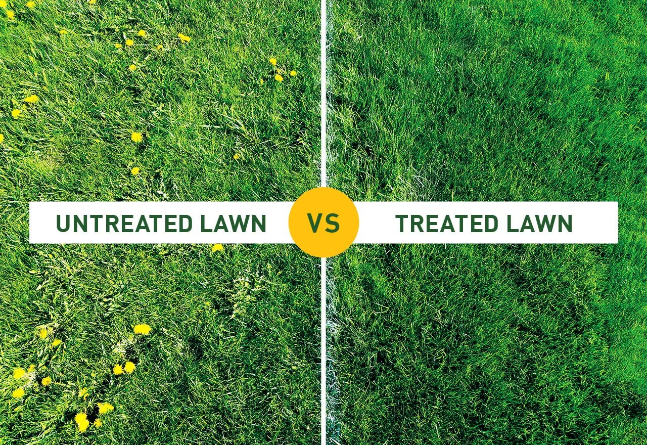 Garden Resolva Weed Killers Bundle - Path and Drive 1L Weedkiller Sprayer & Lawn Weed Killer Extra Strong 1L Ready-to-Use Garden Sprayer for Dandelions, Weed Remover with Topline Card.