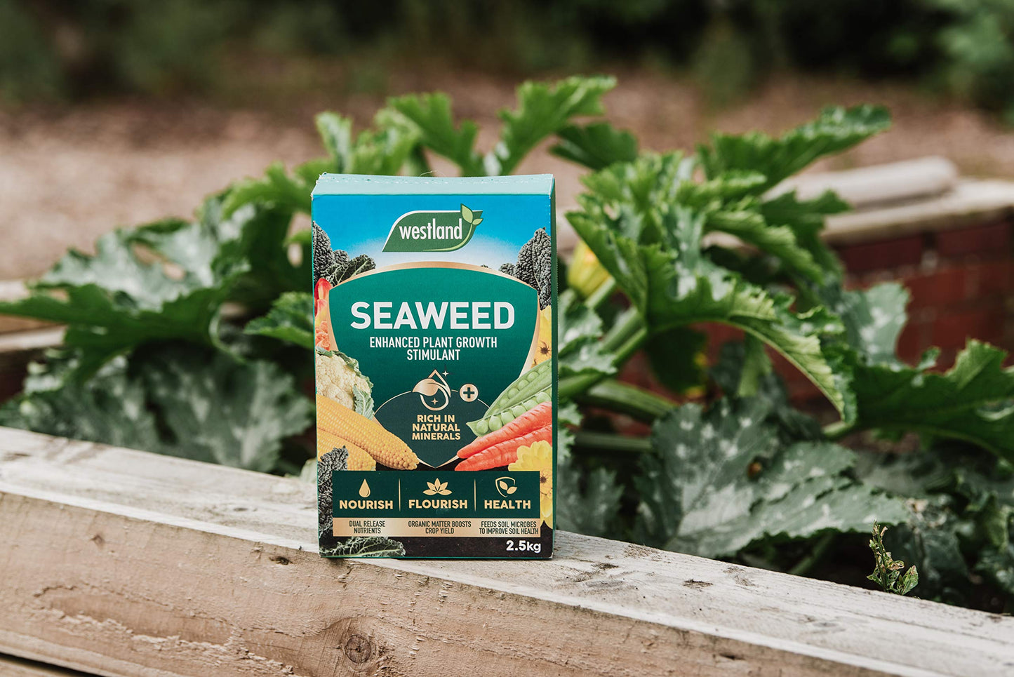 Westland Seaweed Enhanced Plant Growth Stimulant 2.5kg