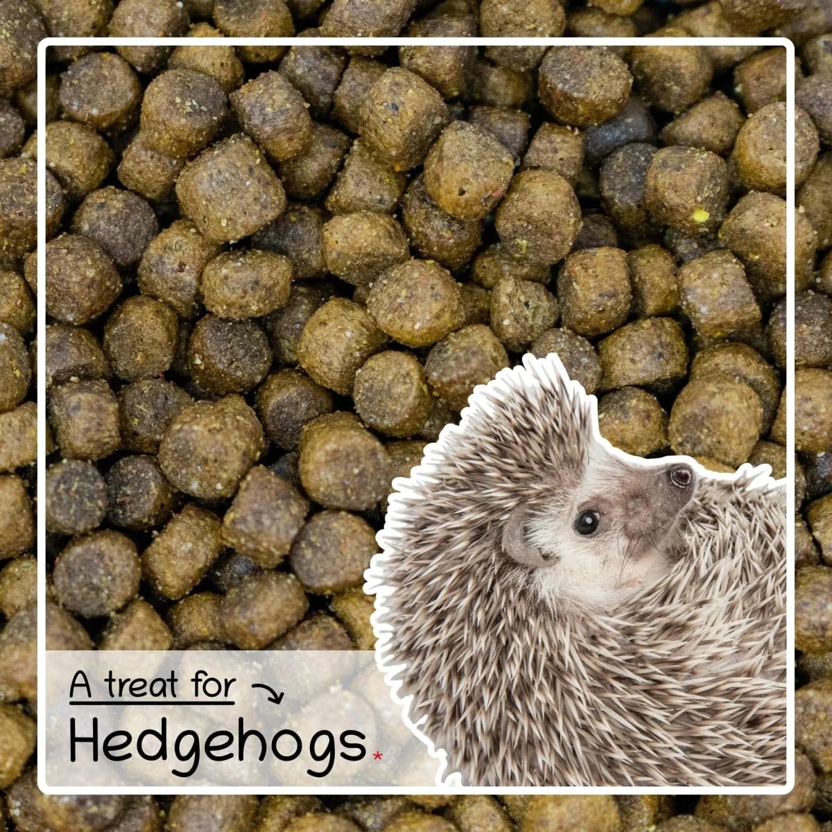 Gardman Hedgehog Food Bites Bundle - Pack of 2 x 650g High Energy Rich Nutritious. Pet Food Suitable for Feeding Station or Ground Feeder, Comes with Topline Card.