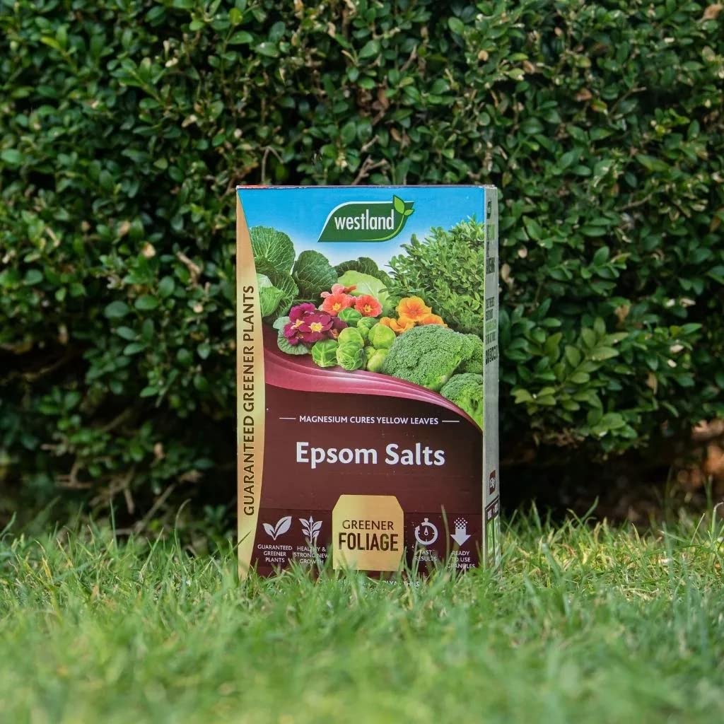 Garden Plant Food Fertiliser Bundle - 4kg Garden Lime Soil Conditioner & 1.5kg Epsom Salt Green Foliage Fertilizer for Growing Healthy and Stronger Garden Plants with Topline Card.
