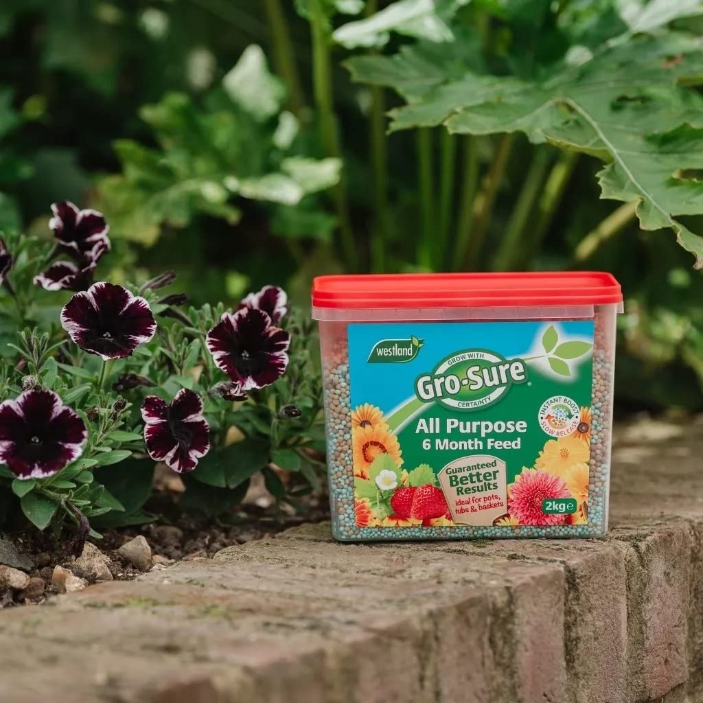 Garden Plant Feed Fertiliser Bundle Organic Chicken Manure Pellets 5kg + Gro-Sure All Purpose Slow Release Plant Food 2kg