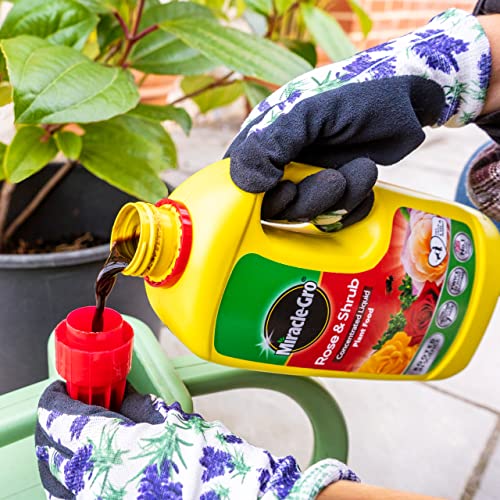 Miracle-Gro Rose & Shrub Concentrated Liquid Plant Food 800ml