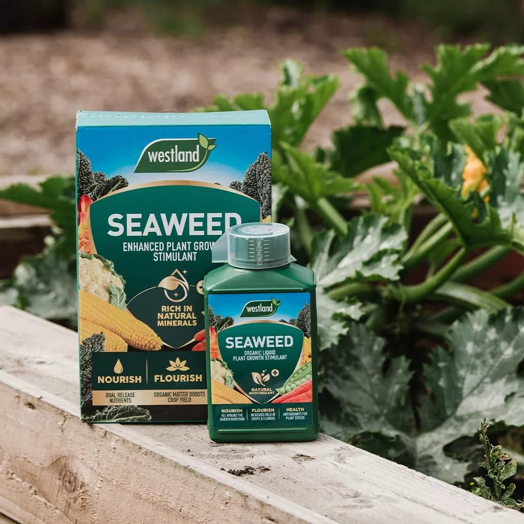 Seaweed Garden Plants Food Fertilizer - Organic Enhanced Plant Growth Stimulant 2.5kg & Liquid Plant Feed Growth Stimulant 1L Garden Fertilisers for Vegetable Plants, Fruits with Topline Card.