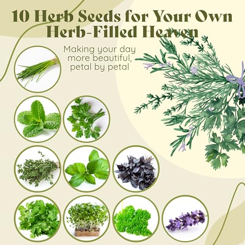 Herbs Grow Your Own Kit Set of 10 Seeds