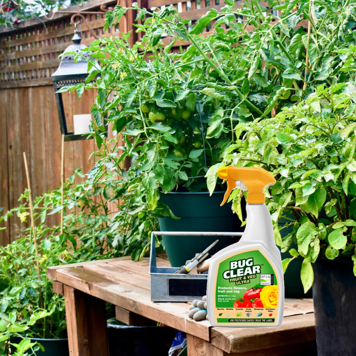 Bug Killer Spray for Plants Bundle - Fast Acting Ultimate Bug Spray 1L & Bug Clear Ultra 800m Fruit and Vegetable Plant Protection Pest Control Products with Topline Card for Indoor & Outdoor Plants