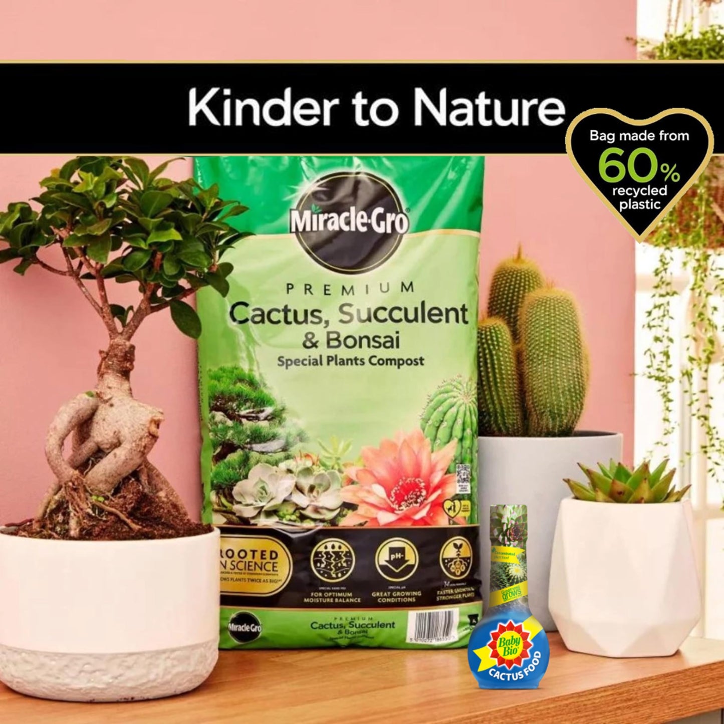 Cactus Succulent Plants Growing Bundle - Peat Free Cacti Bonsai Potting Compost 10L & Cactus Plant Feed Liquid Concentrated Fertiliser 175ml Houseplant Food Compost for Indoor Plants with Topline Card