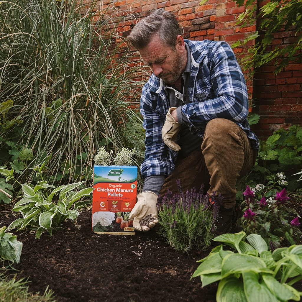 Garden Plant Feed Fertiliser Bundle Organic Chicken Manure Pellets 5kg + Gro-Sure All Purpose Slow Release Plant Food 2kg