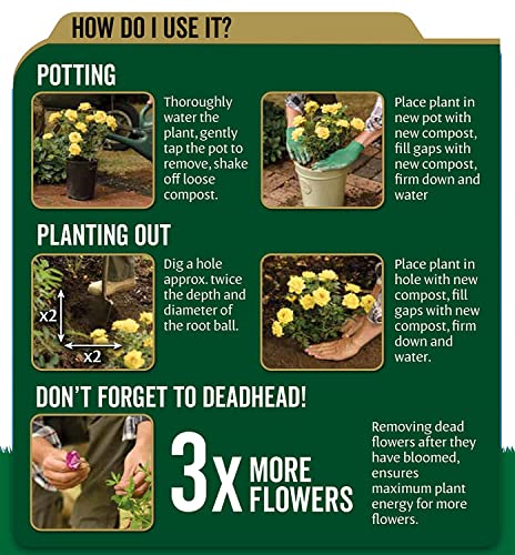 Westland Peat Free Garden Compost - John Innes No3 Mature Plant Potting Seedling Compost 10L Bag with Topline Card for Outdoor & Indoor House Plants.