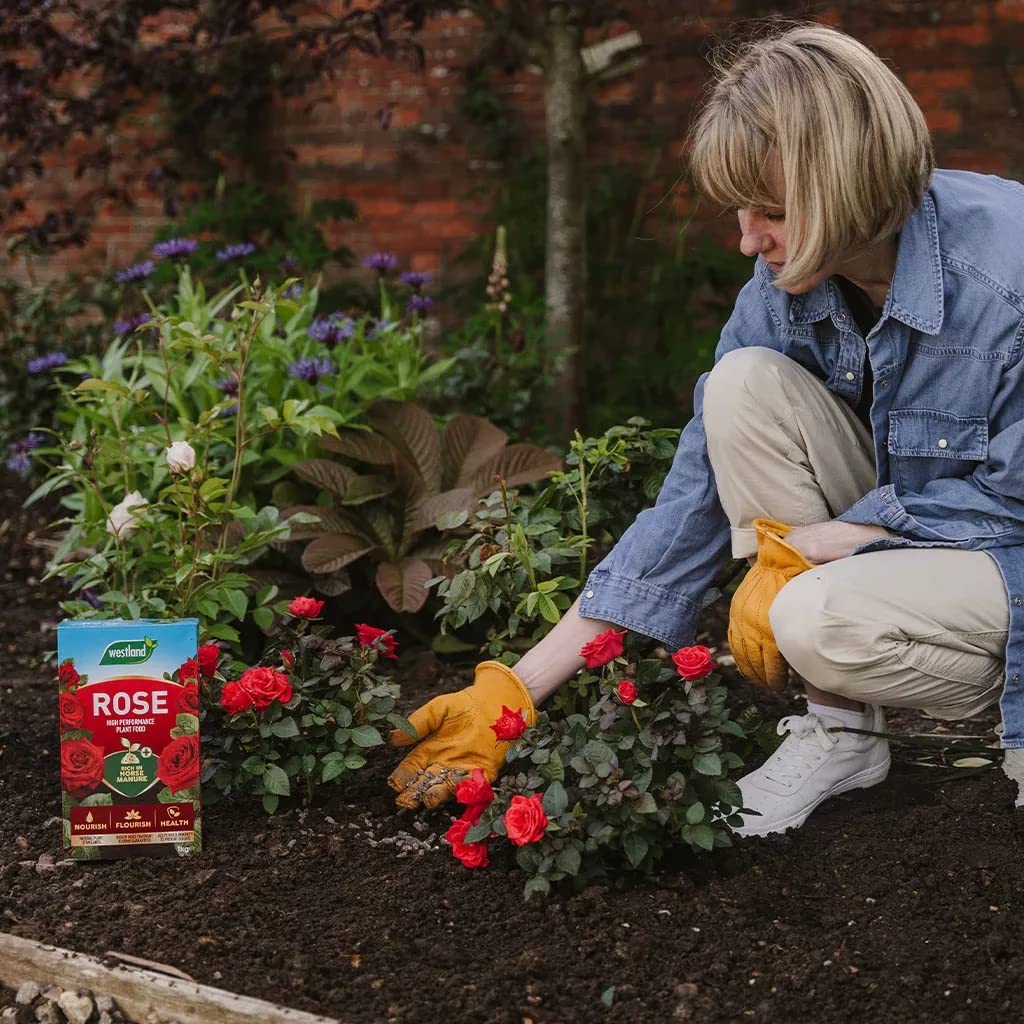 Rose Plant Feed & Protect Bundle - 3kg Rose Plant Food Pellets & Rose 2 in 1 Feed and Protect Concentrated 2x500ml. Garden Fertiliser for Outdoor Plants with Topline Card.