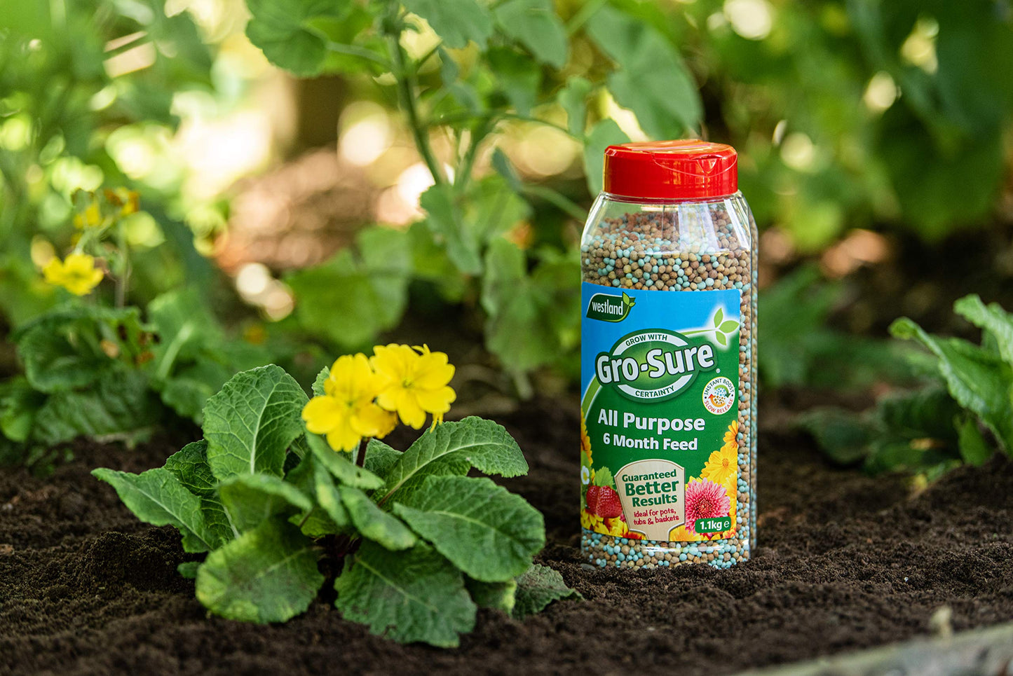 Gro-Sure Slow Release Plant Food