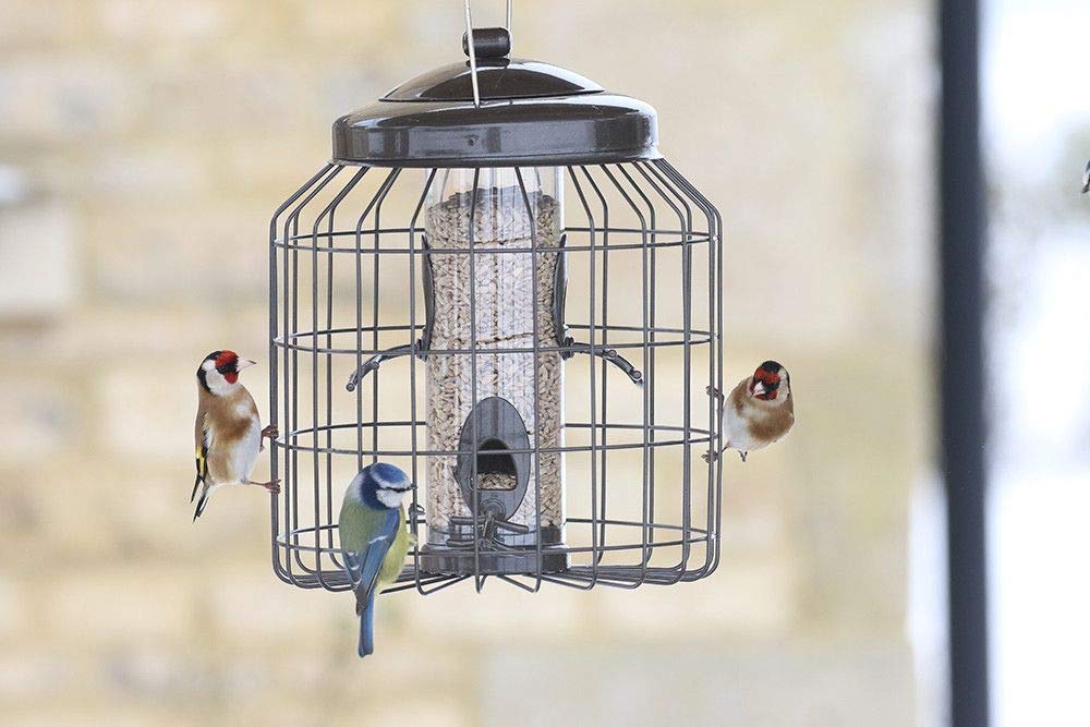 Gardman Heavy Duty Squirrel Proof Bird Seed Feeder Multicolour 12.75kg