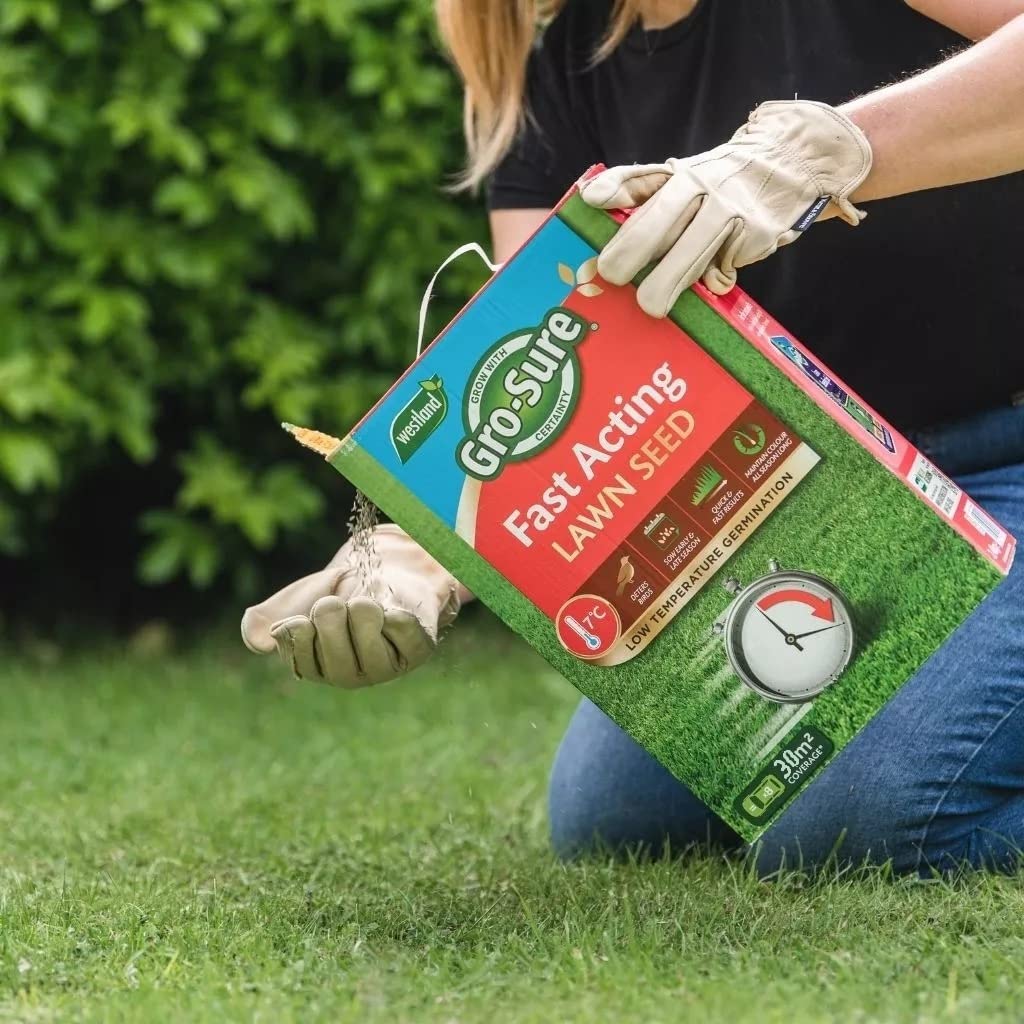 Fast Acting Lawn Seeds - Garden Horticulture 900g Fast Acting Lawn Grass Seeds 30msq. Spring Lawn Feed for Low Temperature Germination, Paths Repair with Topline Card.