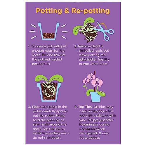 Westland Orchid Potting Mix 8L