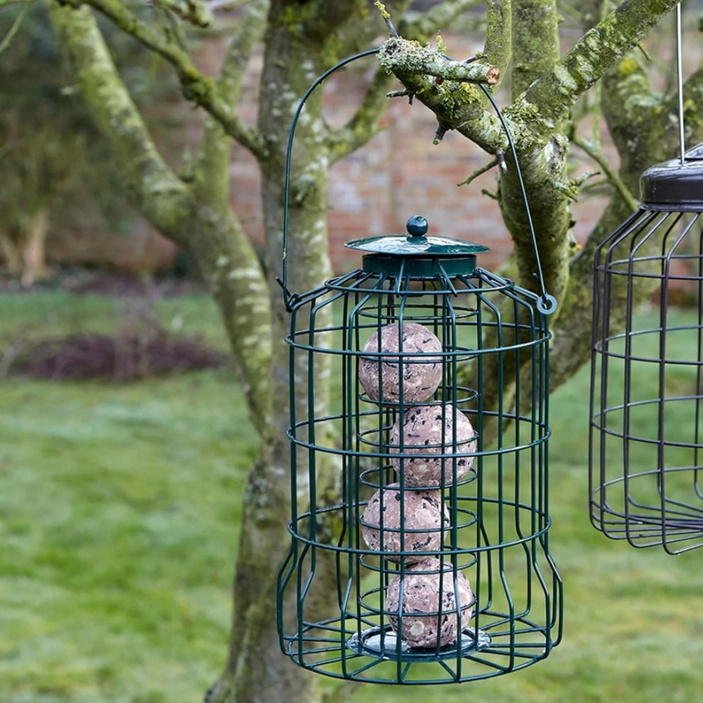 Squirrel Proof Bird Feeders Bundle 3x Green Plastic Wire Cage for Fat Balls, Peanuts & Seeds
