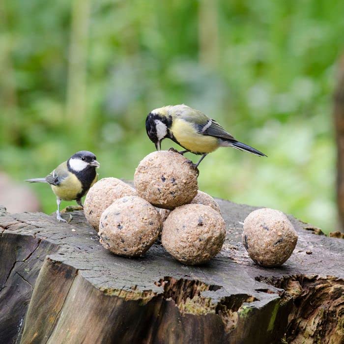 Bucktons High Energy Fat Balls - Box of 150 x 90g Boost Natural Suet Food for Wild Garden Birds. Great for Ground Feeder, Bird Tables. Comes with Topline Card.
