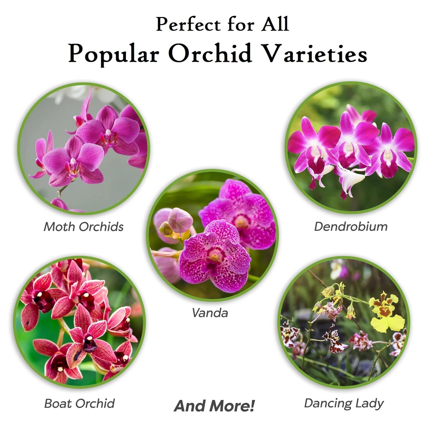 Topline Orchid Plant Growing Bundle - Peat Free Orchid Potting Mix with Seramis 8L & Nutrient Rich Orchid Water 720ml. House Plant Compost Food with Thank You Card.