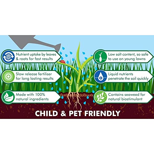 Garden Child & Pet Friendly Safelawn - Pack of 2 x 150msq Natural All In One Safe Lawn Feed Grass Seeds with Topline Card. Lawn Food is Super Durable & Fast to Grow!