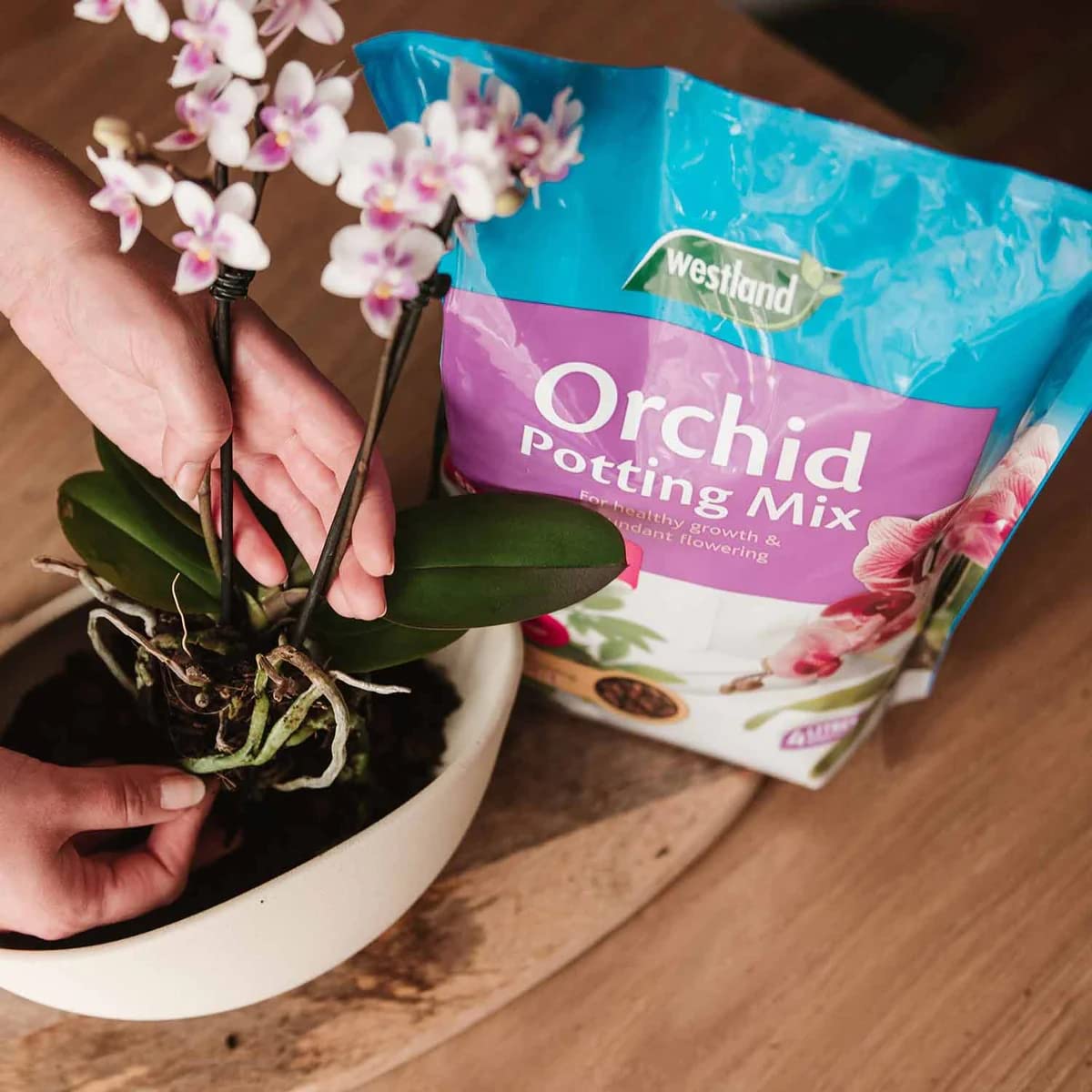 Topline Orchid Plant Growing Bundle - Peat Free Orchid Potting Mix with Seramis 8L & Nutrient Rich Orchid Water 720ml. House Plant Compost Food with Thank You Card.