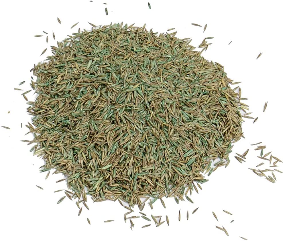 Fast Acting Lawn Seeds - Garden Horticulture 900g Fast Acting Lawn Grass Seeds 30msq. Spring Lawn Feed for Low Temperature Germination, Paths Repair with Topline Card.