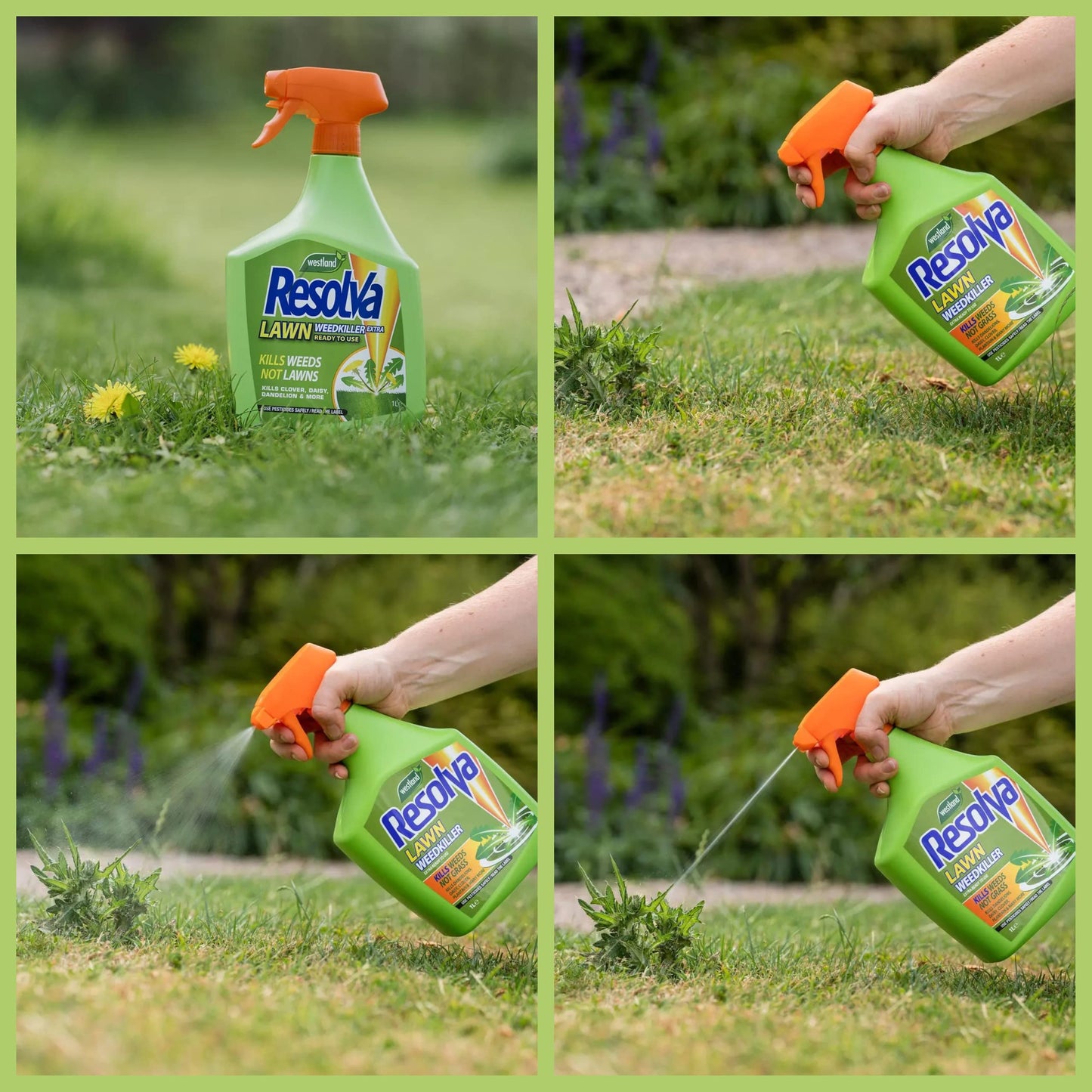 Garden Resolva Weed Killers Bundle - Path and Drive 1L Weedkiller Sprayer & Lawn Weed Killer Extra Strong 1L Ready-to-Use Garden Sprayer for Dandelions, Weed Remover with Topline Card.