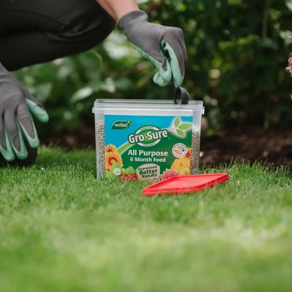 Gro-Sure Plant Food Fertilizer - 2kg All Purpose 6-Month Slow Release Plant Food Granules for Outdoor Plants with Topline Card. Garden Fertiliser for Plants, Vegetables or Houseplants.