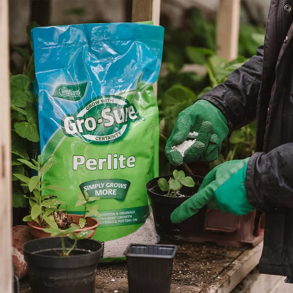 Garden Horticultural Perlite Potting Mix - Pack of 2 x 10L Gro-Sure Perlite Grit for Plant Pots with Topline Card. Garden Potting Mix Granules for Outdoor Plants or Houseplants.