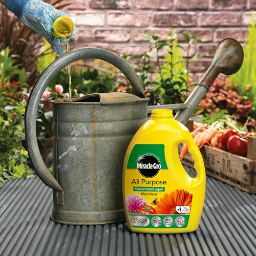 Miracle-Gro All Purpose Concentrated Liquid Plant Food