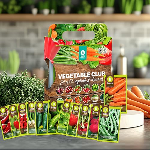 Grow Your Own Vegetable Seeds Set of 12