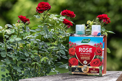 Rose Plant Feed & Protect Bundle - 3kg Rose Plant Food Pellets & Rose 2 in 1 Feed and Protect Concentrated 2x500ml. Garden Fertiliser for Outdoor Plants with Topline Card.