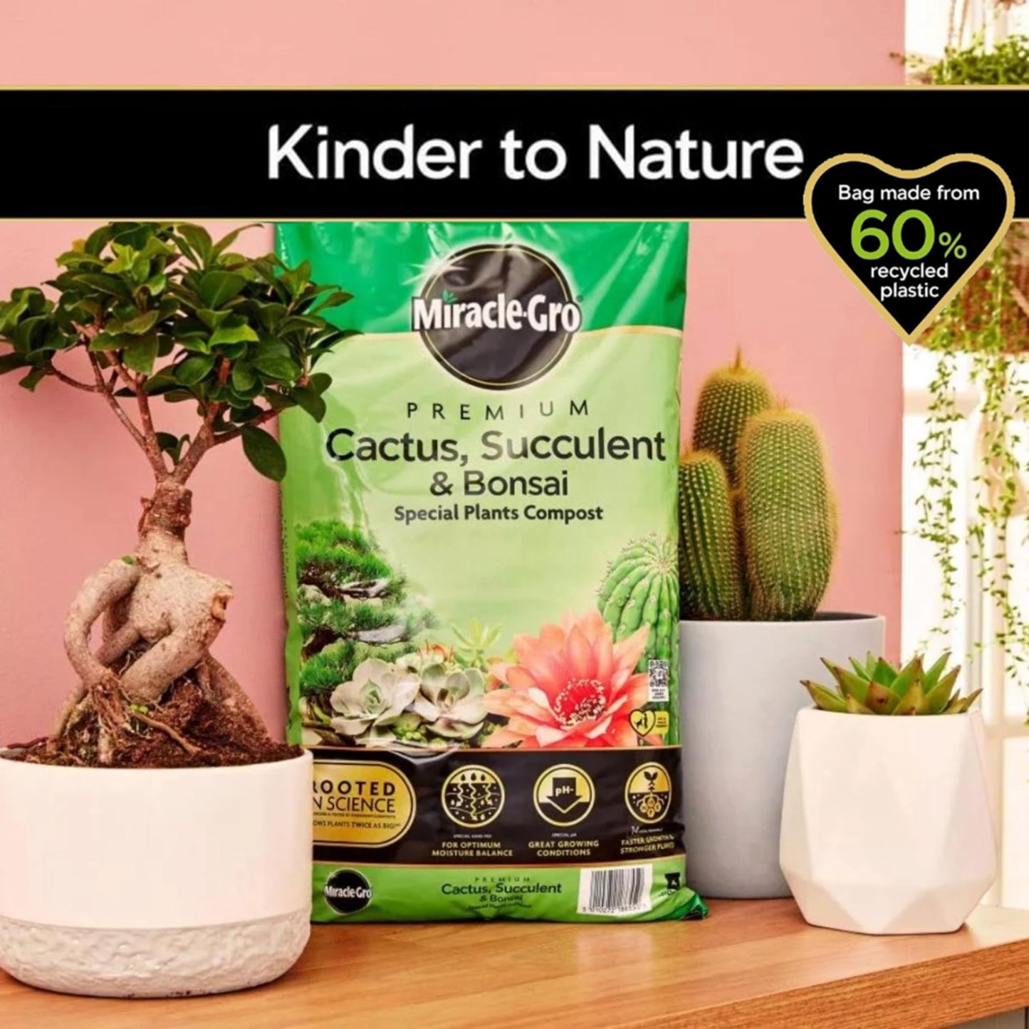 Cactus Succulent Plants Potting Compost - Premium Pack of 2 x 10L Peat Free Bonsai Tree Cactus Compost with Topline Card. Child and Pet Friendly Houseplant Compost for Indoor Plants