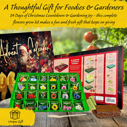 Flower Seeds Advent Calendar 2026-24 Days Christmas Countdown Advent Calendar with Flower Seeds & Greenhouse. Christmas Gifts & Birthday Gifts